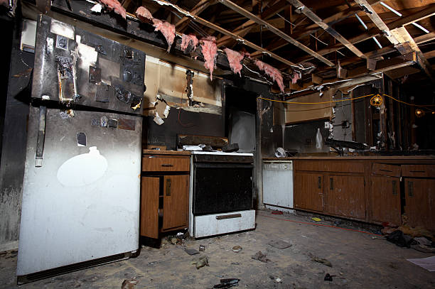 Licensed Odor Removal service in Takoma Park, MD - Fire Damage Laser Cleaning